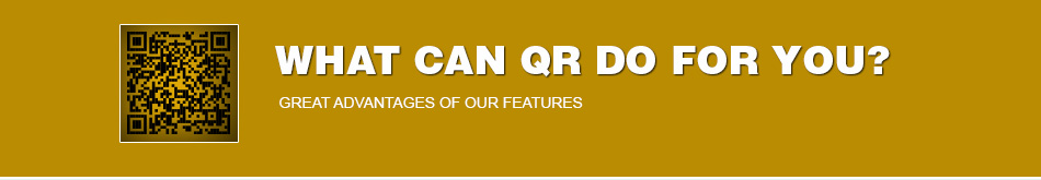 What can QR do title